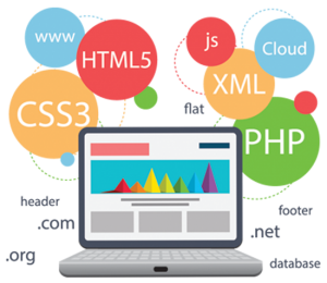 web development, SEO, web designing, digital marketing, Identirty branding